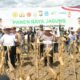 Kapolri-Mentan Panen Raya Jagung di Bone, Dukung Program Ketahanan Pangan Nasional