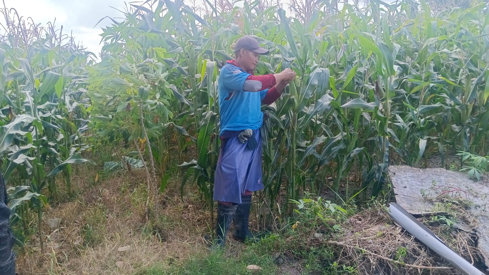 Polri Dukung Ketahanan Pangan di Desa Beleka Lombok Barat
