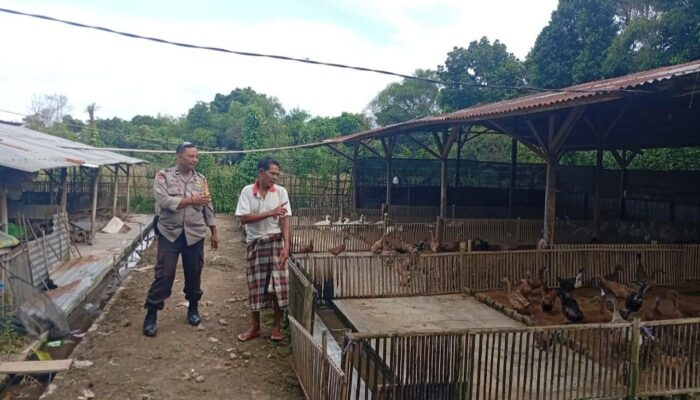 Warga Merembu Tengah Didorong Mandiri Pangan oleh Bhabinkamtibmas