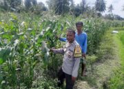 Bhabinkamtibmas Dorong Swasembada Pangan di Desa Montong Are