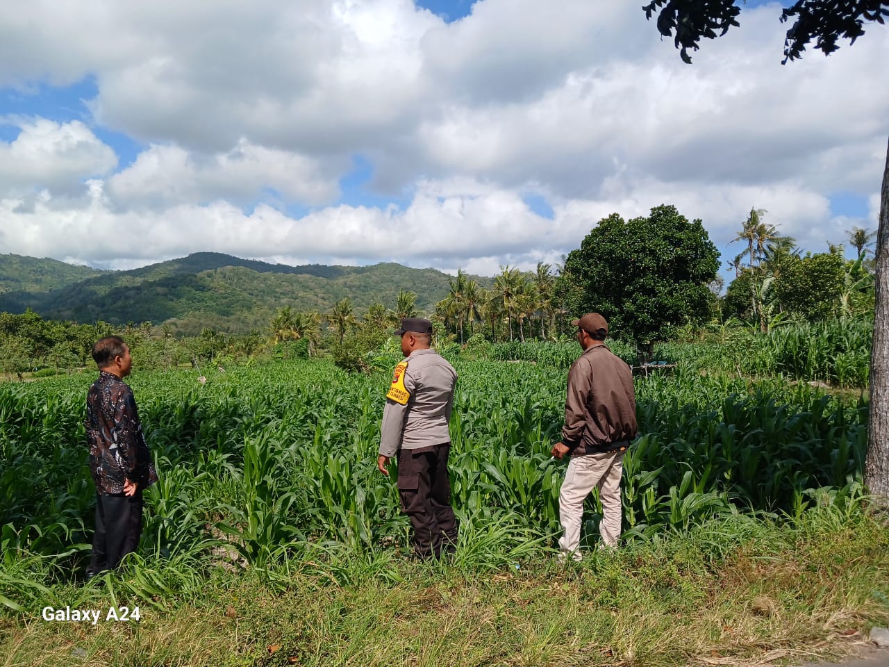 Perhatian Polri untuk Petani Lombok Barat: Edukasi dan Pendampingan Langsung
