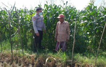 Bhabinkamtibmas Sosialisasi Pemanfaatan Lahan Kosong untuk Pangan