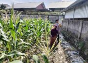 Bhabinkamtibmas Labuapi Dorong Pemanfaatan Lahan Demi Ketahanan Pangan