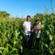 Bhabinkamtibmas Aktif di Lahan Jagung Mareje Timur, Dukung Ketahanan Pangan NTB