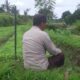 Peran Aktif Bhabinkamtibmas dalam Program Ketahanan Pangan Desa