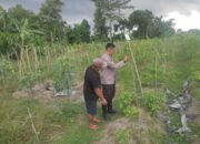 Kolaborasi Warga dan Polisi Dorong Pemanfaatan Pekarangan di Labuapi