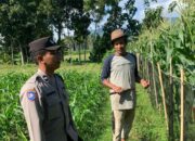 Pekarangan Bergizi, Inisiatif Ketahanan Pangan di Dasan Geres