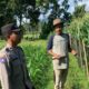 Bhabinkamtibmas Gerung Aktif Bina Petani Dukung Pangan Nasional