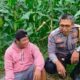 Kunjungan Bhabinkamtibmas di Dusun Penyeleng Dorong Produktivitas Petani