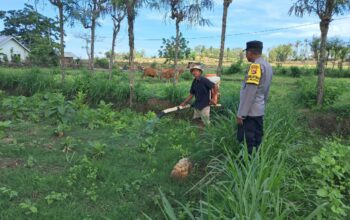 Polri Dorong Pertanian Produktif di Desa Pelangan, Sekotong