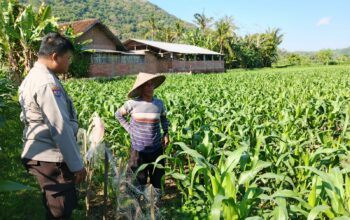 Polri dan Petani Bersinergi Wujudkan Ketahanan Pangan di Lembar, Lombok Barat