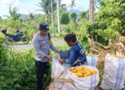 Polsek Gerung Aktif Dukung Rantai Pasok Pertanian