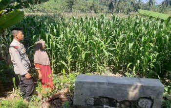 Polsek Lembar Dukung Ketahanan Pangan di Dusun Jelateng