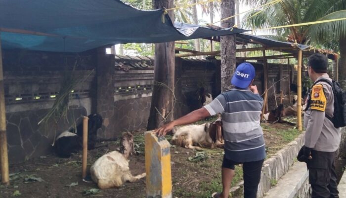 Pemanfaatan Pekarangan untuk Pangan: Langkah Nyata Polsek Batulayar di NTB