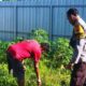 Kolaborasi Polri-Masyarakat Wujudkan Kemandirian Pangan di NTB