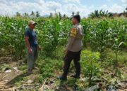 Polres Lombok Barat Dorong Ketahanan Pangan Desa Jembatan Gantung