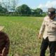 Bripka Ketut Sanjaya Motivasi Petani Jagung Lemukek Daya, Lombok Barat