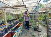 Bhabinkamtibmas Desa Bajur Dorong Kemandirian Pangan Warga Tempit