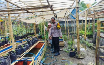 Bhabinkamtibmas Desa Bajur Dorong Kemandirian Pangan Warga Tempit