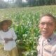 Ketahanan Pangan Berbasis Rumah Mulai Diterapkan di Karang Rumak