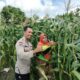 Polri dan Masyarakat Desa Labuapi Kolaborasi Jaga Kamtibmas dan Produktivitas Pangan