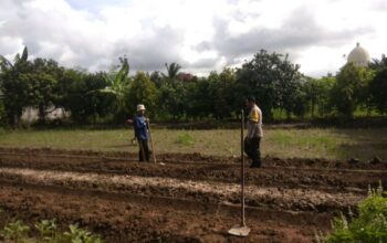 Bhabinkamtibmas Kediri Dorong Ketahanan Pangan di Plowok Selatan