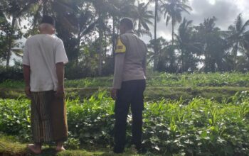 Polisi Ajak Warga Mareje Tanam Pangan Sendiri
