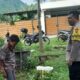 Pemanfaatan Lahan Kosong di Dusun Krandangan Jadi Contoh Ketahanan Pangan Lokal