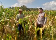 Bhabinkamtibmas Dorong Pemanfaatan Lahan untuk Ketahanan Pangan di Dusun Tambang Eleh