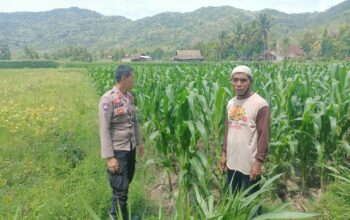 Sosialisasi Ketahanan Pangan di Dusun Pelabu: Polri Ajak Warga Manfaatkan Lahan Produktif