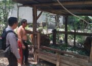 Warga Dusun Melase Antusias Sambut Program Pertanian Pekarangan yang Digagas Polsek Batulayar
