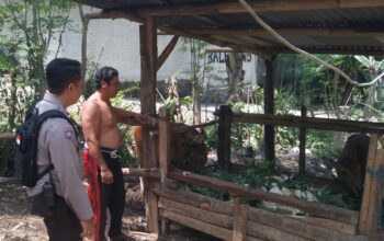 Edukasi Pertanian Pekarangan, Polsek Batulayar Beri Contoh di Dusun Melase