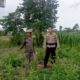 Bhabinkamtibmas Terong Tawah Dorong Pemanfaatan Pekarangan untuk Ketahanan Pangan