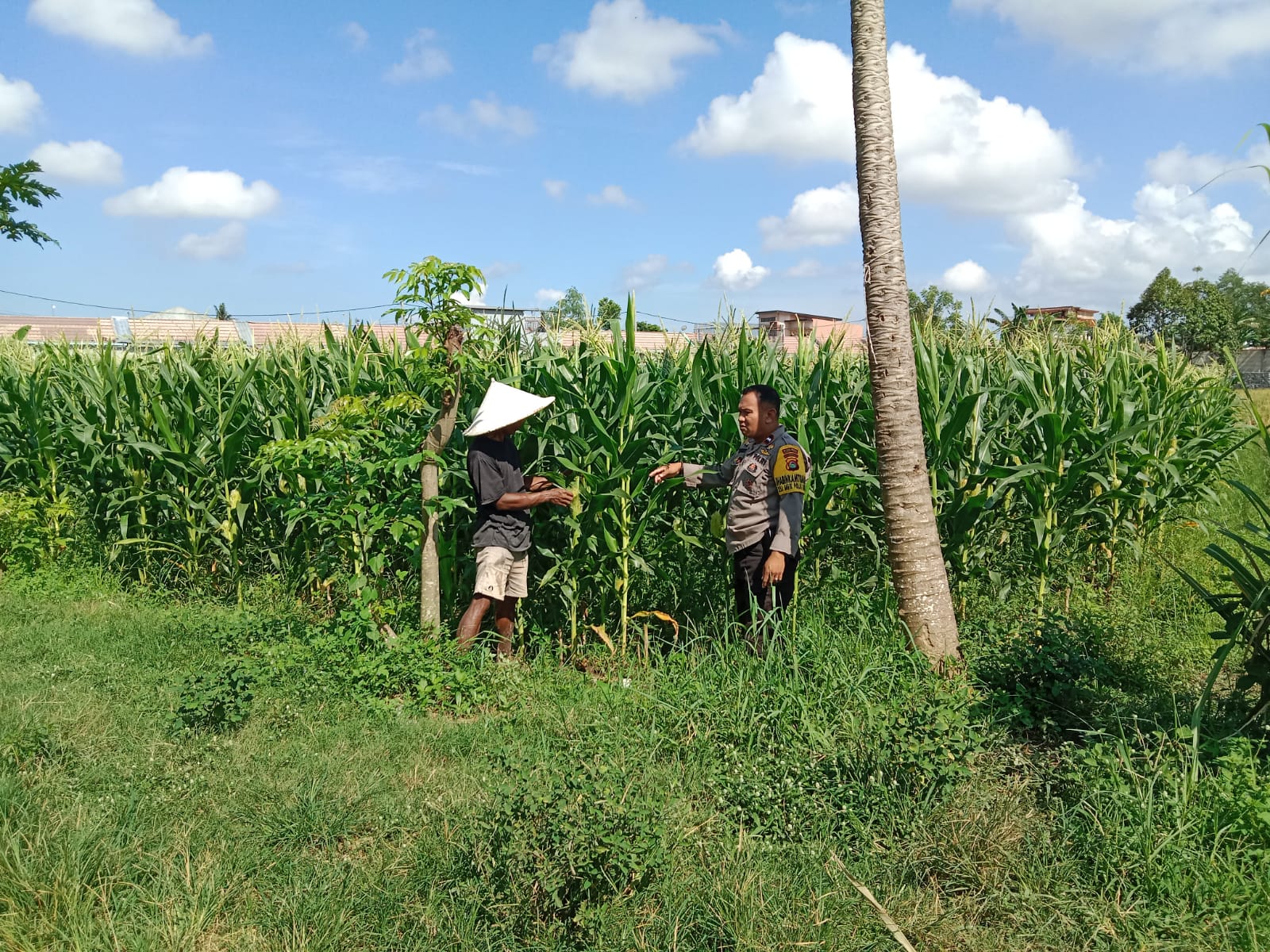 Dusun Jerneng Lombok Barat Jadikan Lahan Kosong Sumber Pangan Keluarga