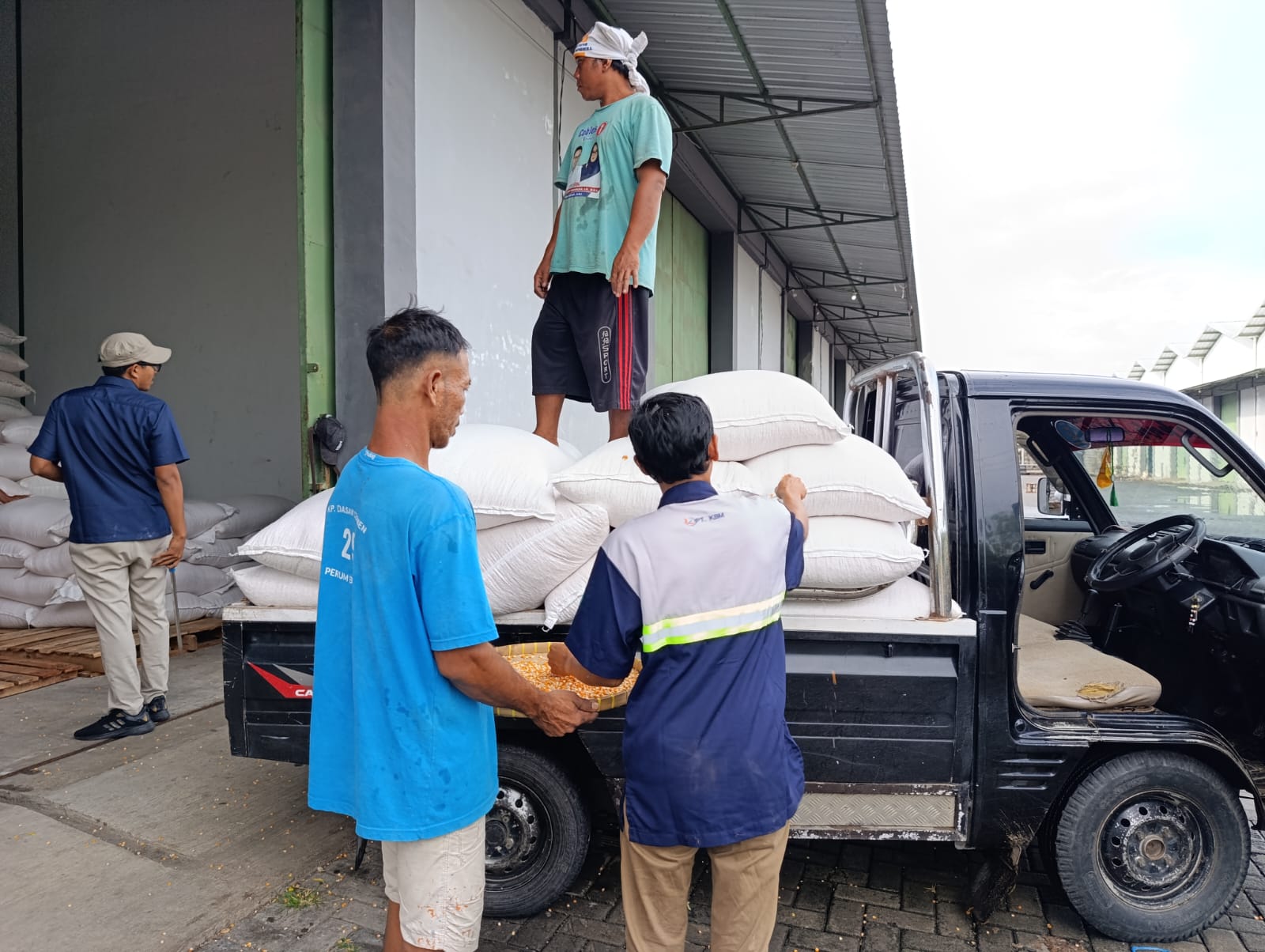 Bulog Mataram Serap 3,4 Ton Jagung Petani Gerung dengan Pengawalan Polisi