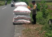 Panen Jagung di Lombok Barat Aman Berkat Pengawasan Polri