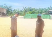 Ketut Sanjaya, Polisi yang Aktif Jaga Stabilitas Harga Jagung