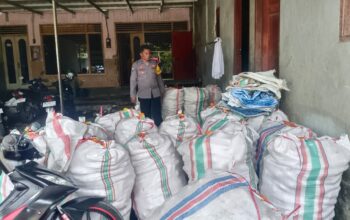 Sinergi Polri–Petani di Beleka: Kualitas Jagung Dijaga Ketat untuk BULOG