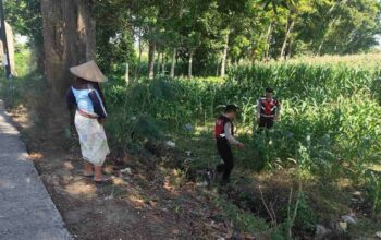 Patroli Ketahanan Pangan: Sinergi Polres Lobar dan Petani Jagung