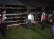 Apresiasi Warga Mengalir, Polisi Hadir di Tengah Sunyi Dini Hari Amankan Hewan Ternak