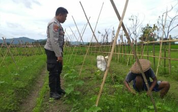 Sinergi Polri dan Petani Jagaraga Wujudkan Kemandirian Pangan