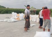 Jamin Pasar Petani, Polsek Gerung Dampingi Penjualan 11 Ton Jagung ke BULOG