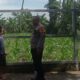 Dukung Ketahanan Pangan, Polri Ajak Warga Labuapi Tanam di Rumah