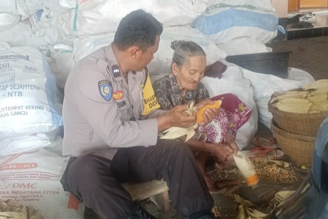 Polsek Gerung Kawal Panen Jagung Tiga Ton di Lombok Barat