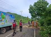 Keselamatan Prioritas: Polsek Sekotong Amankan dan Bersihkan Pohon Tumbang