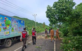Keselamatan Prioritas: Polsek Sekotong Amankan dan Bersihkan Pohon Tumbang