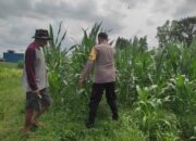 Sinergi Polri-Masyarakat: Pekarangan Warga Lombok Barat Diubah Jadi Sumber Pangan