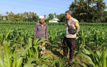 Cara Polsek Batulayar Ubah Pekarangan Jadi Sumber Ekonomi